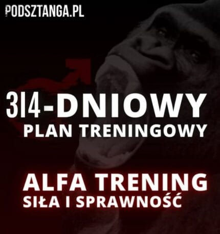E-book "Jak być sprawnym" + 3i4-dniowy plan „Alfa Trening” dla mężczyzn gratis!