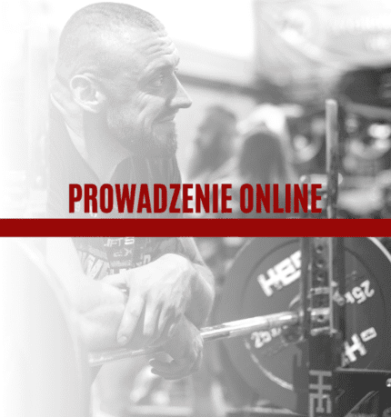 Prowadzenie online